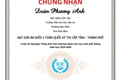 🌟 VINH DANH NHỮNG “CHIẾN BINH” XUẤT SẮC TẠI KỲ THI IOE CẤP TỈNH